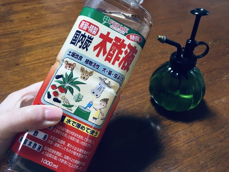 サイズ水切りトレーでリーフレタスを量産 収量は Mindieのブログ