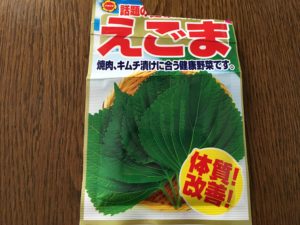 体質改善 エゴマを水耕栽培で育てたら大収穫できました Mindieのブログ