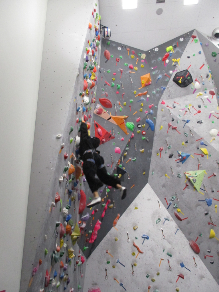 f:id:MiniLop:20161030182542j:plain f:id:MiniLop:20161030182542j:plain