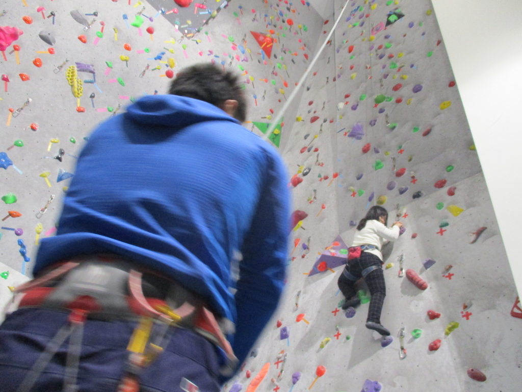 f:id:MiniLop:20170121122225j:plain