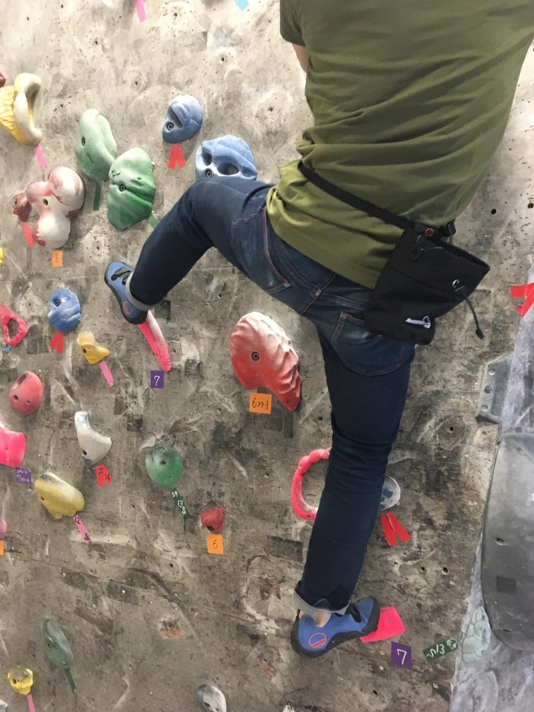 f:id:MiniLop:20190310164138j:plain