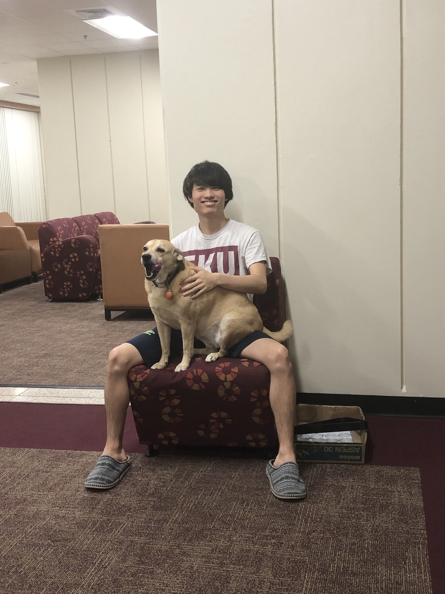 f:id:MiniLop:20190412235903j:plain