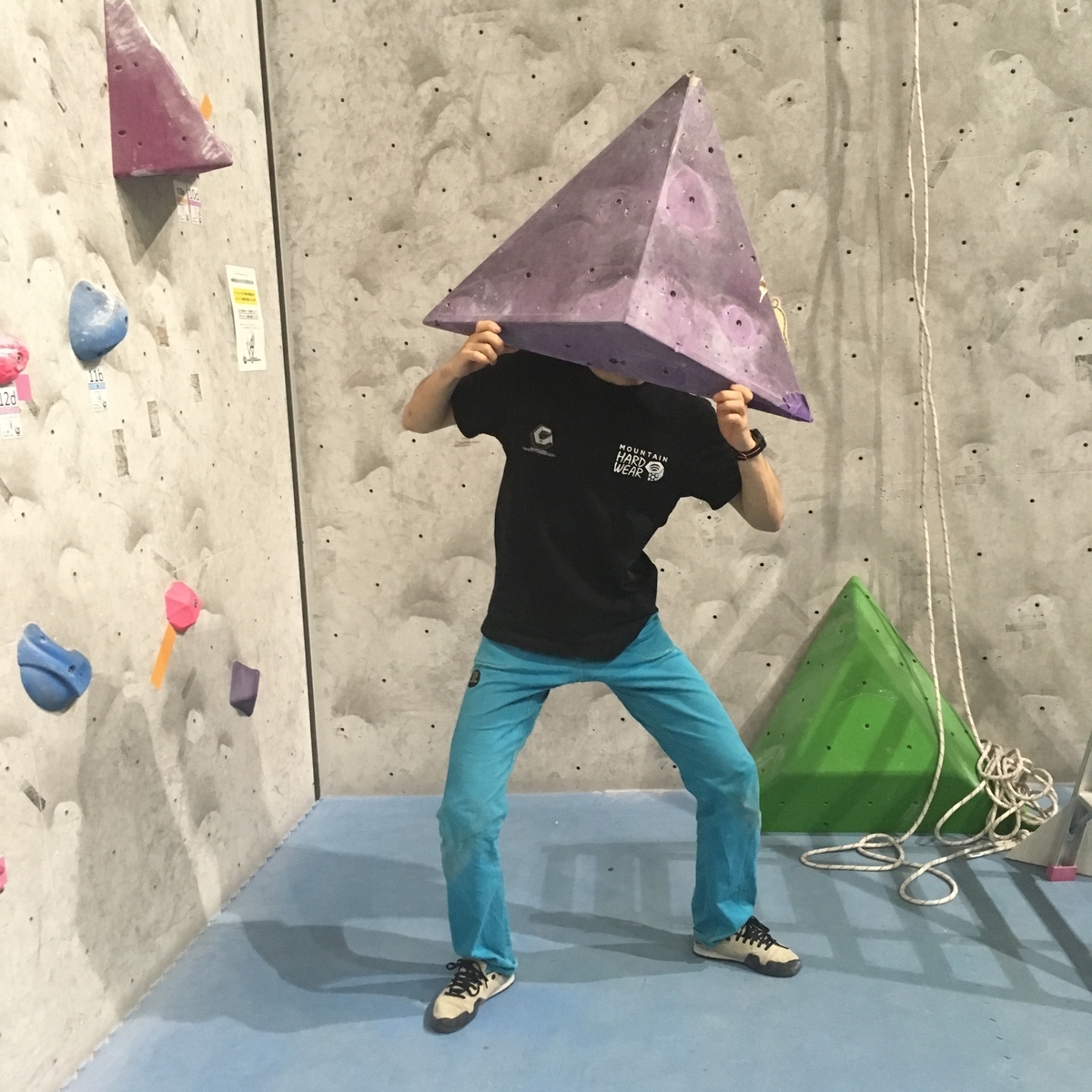 f:id:MiniLop:20190513162936j:plain
