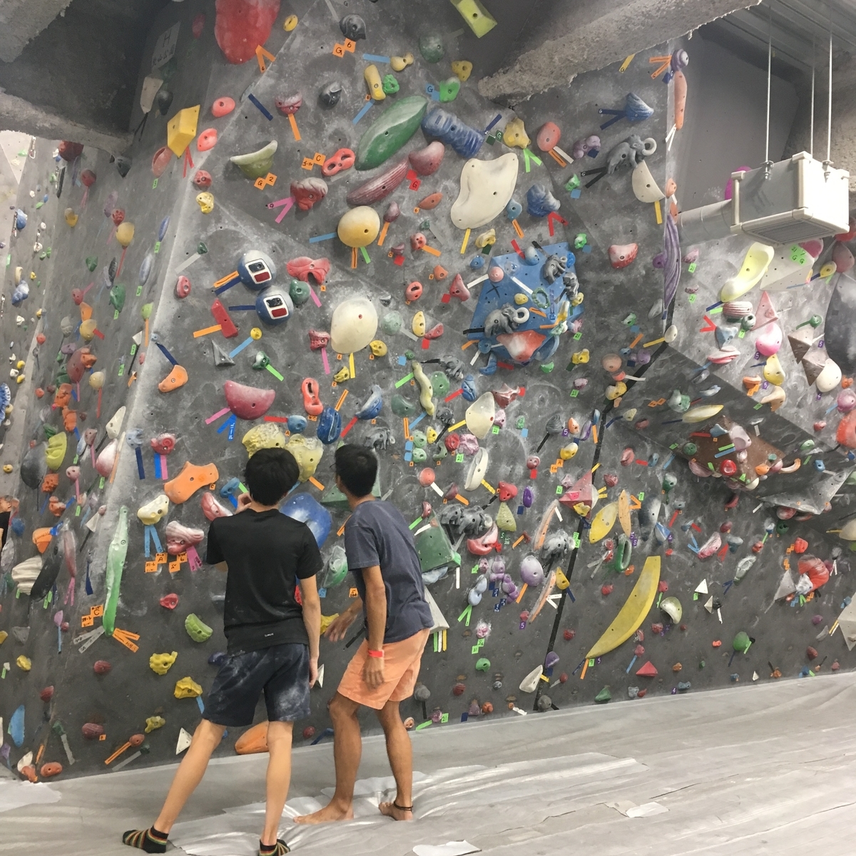 f:id:MiniLop:20190818174610j:plain f:id:MiniLop:20190818174610j:plain