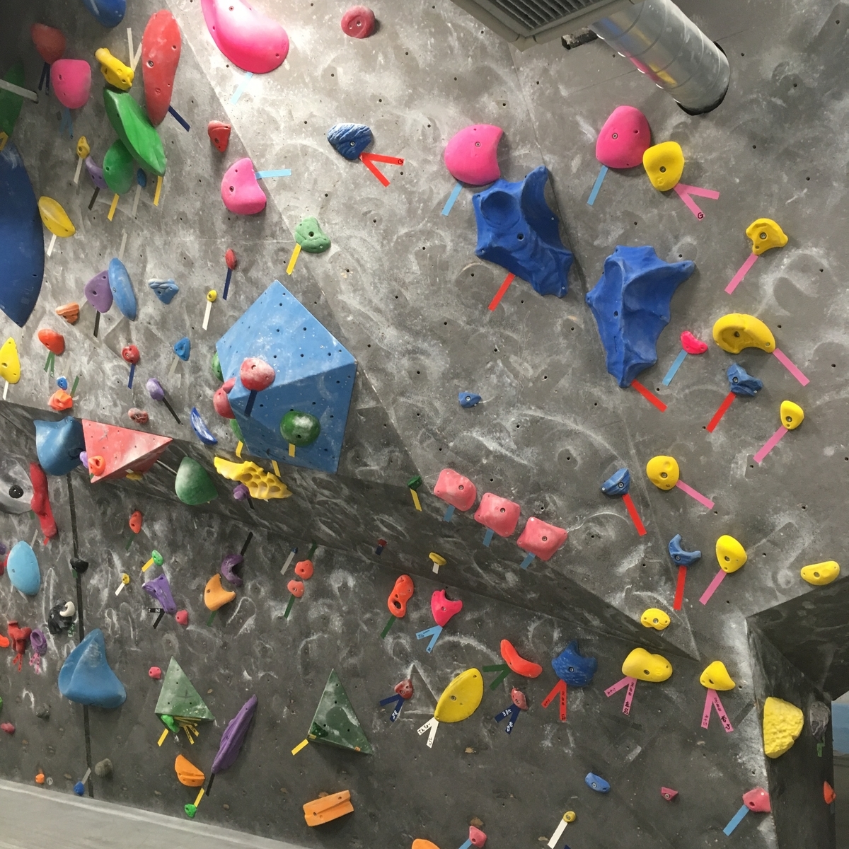 f:id:MiniLop:20190821134428j:plain