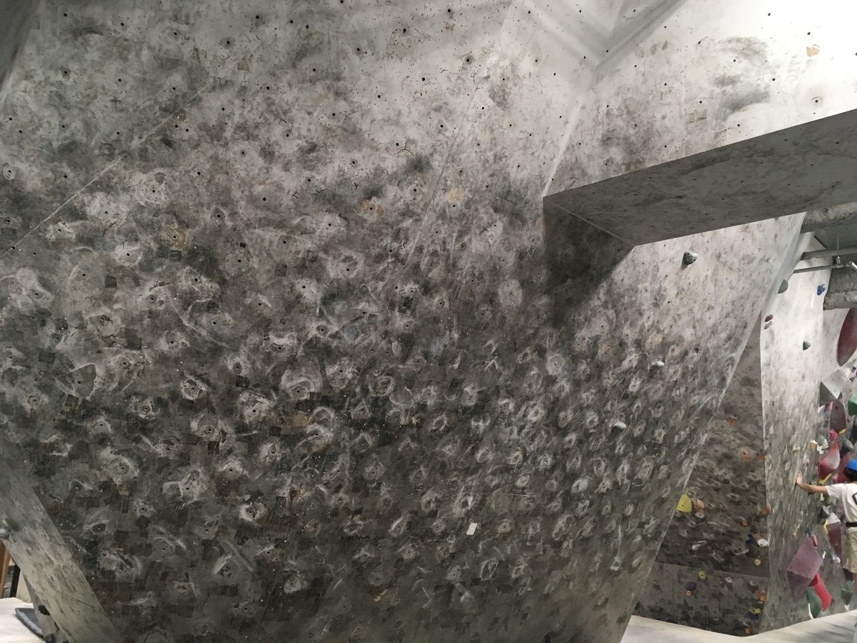 f:id:MiniLop:20191117203357j:plain