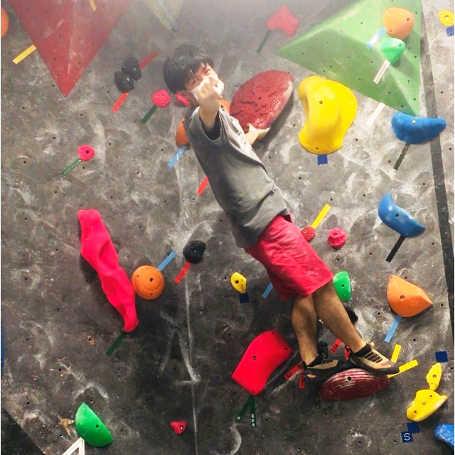 f:id:MiniLop:20200708132302j:plain