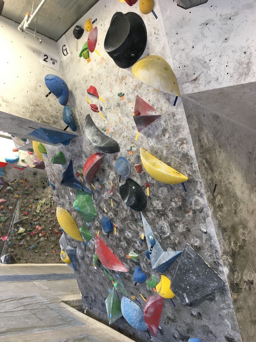 f:id:MiniLop:20200720174843j:plain