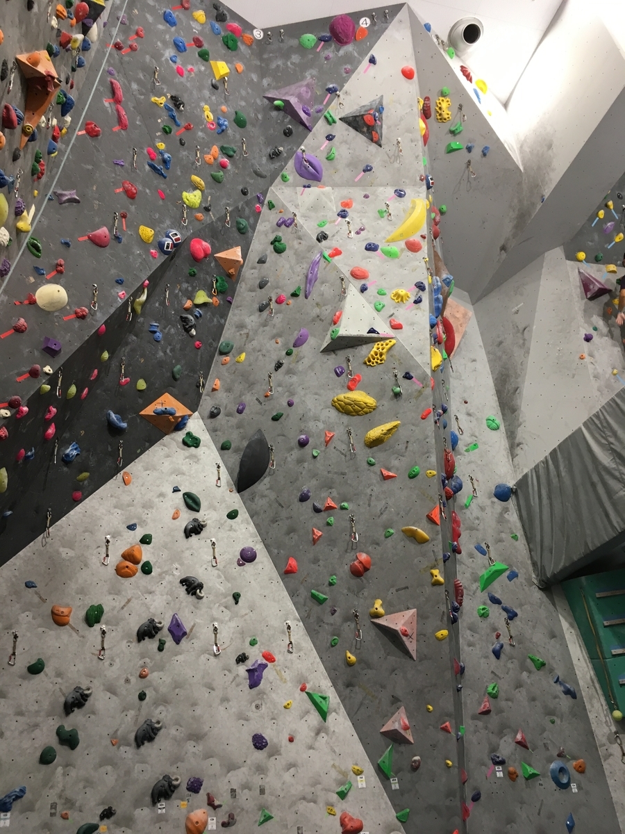 f:id:MiniLop:20200930141220j:plain f:id:MiniLop:20200930141220j:plain