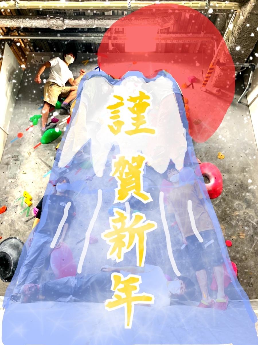 f:id:MiniLop:20210106140235j:plain