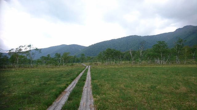 f:id:Minow:20190204085808j:image