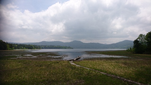 f:id:Minow:20190204085913j:image