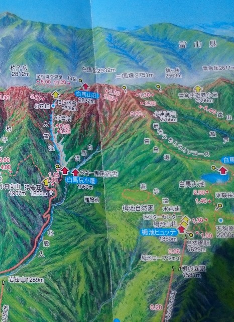 f:id:Minow:20190217174831j:image f:id:Minow:20190217174831j:image