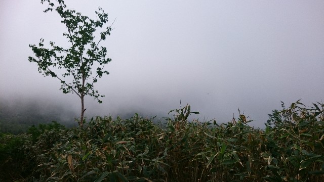 f:id:Minow:20190217174952j:image f:id:Minow:20190217174952j:image