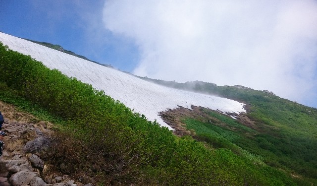 f:id:Minow:20190217175120j:image f:id:Minow:20190217175120j:image