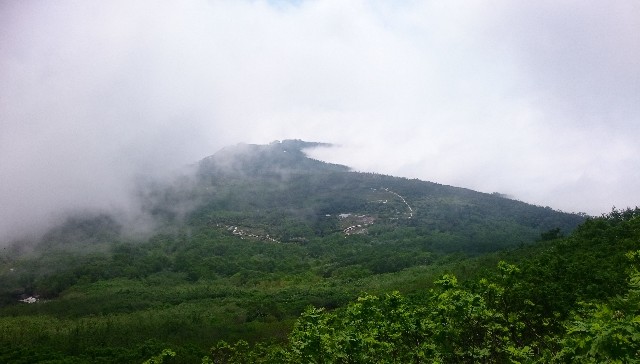 f:id:Minow:20190217175153j:image f:id:Minow:20190217175153j:image