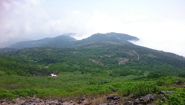 f:id:Minow:20190217175229j:image f:id:Minow:20190217175229j:image