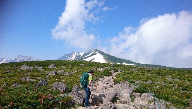 f:id:Minow:20190217175404j:image f:id:Minow:20190217175404j:image