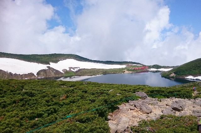 f:id:Minow:20190217175457j:image f:id:Minow:20190217175457j:image