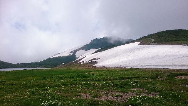 f:id:Minow:20190217175534j:image f:id:Minow:20190217175534j:image