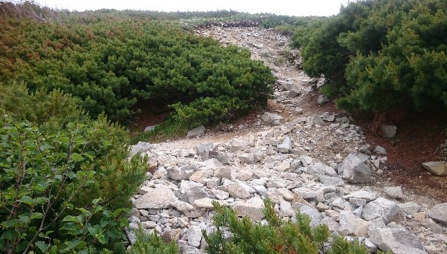 f:id:Minow:20190217175613j:image f:id:Minow:20190217175613j:image