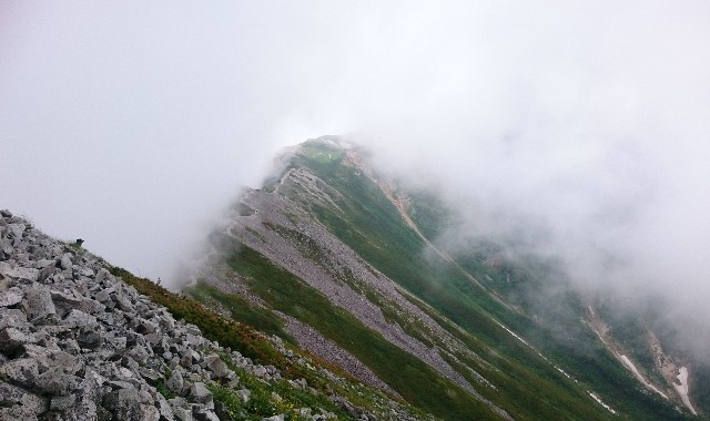 f:id:Minow:20190217175919j:image f:id:Minow:20190217175919j:image