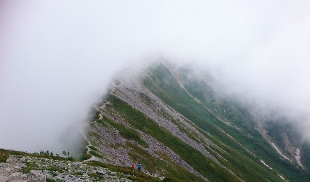 f:id:Minow:20190217175939j:image f:id:Minow:20190217175939j:image