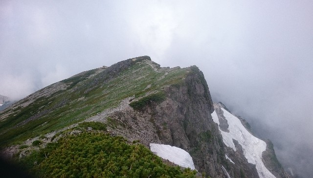 f:id:Minow:20190217180348j:image f:id:Minow:20190217180348j:image