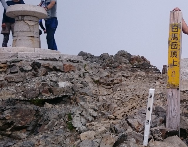 f:id:Minow:20190217180529j:image f:id:Minow:20190217180529j:image