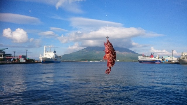 f:id:Minow:20191029171218j:image