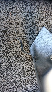 f:id:Minow:20210216120304j:image