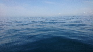 f:id:Minow:20210515165118j:image