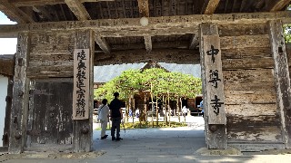 f:id:Minow:20210724213411j:image f:id:Minow:20210724213411j:image