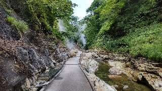 f:id:Minow:20210726074358j:image f:id:Minow:20210726074358j:image