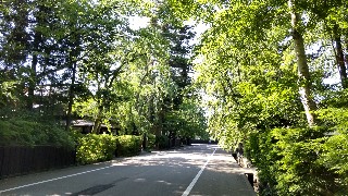 f:id:Minow:20210726120513j:image