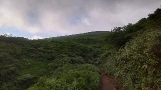f:id:Minow:20210729153439j:image