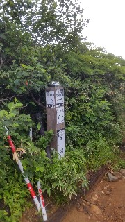 f:id:Minow:20210729153704j:image