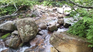 f:id:Minow:20210729180132j:image