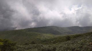 f:id:Minow:20210729183624j:image