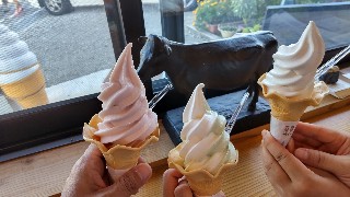 f:id:Minow:20210904131031j:image f:id:Minow:20210904131031j:image