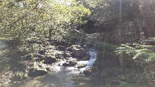 f:id:Minow:20211003125319j:image