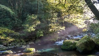 f:id:Minow:20211019110111j:image