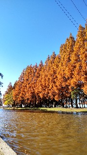 f:id:Minow:20211202085550j:image