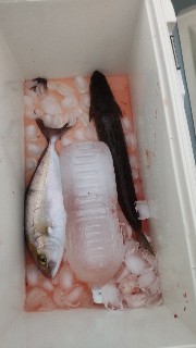 f:id:Minow:20220204203248j:image f:id:Minow:20220204203248j:image