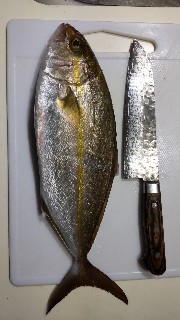 f:id:Minow:20220204205458j:image f:id:Minow:20220204205458j:image