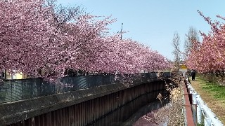 f:id:Minow:20220322200632j:image f:id:Minow:20220322200632j:image