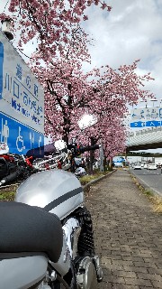 f:id:Minow:20220322200953j:image f:id:Minow:20220322200953j:image