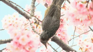f:id:Minow:20220322201124j:image f:id:Minow:20220322201124j:image