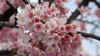 f:id:Minow:20220322201144j:image f:id:Minow:20220322201144j:image