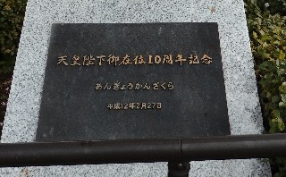 f:id:Minow:20220322203030j:image f:id:Minow:20220322203030j:image